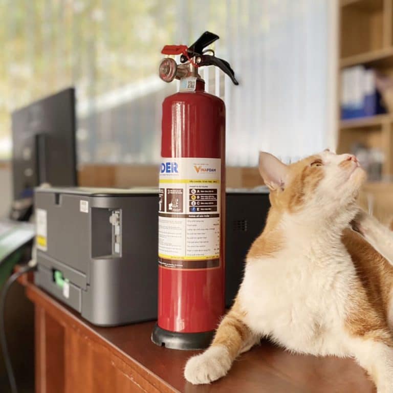 binh-chua-chay-mini-bot-abc-1kg-v1p-768x768